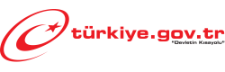 E devlet