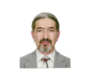 Hakan DİLEK